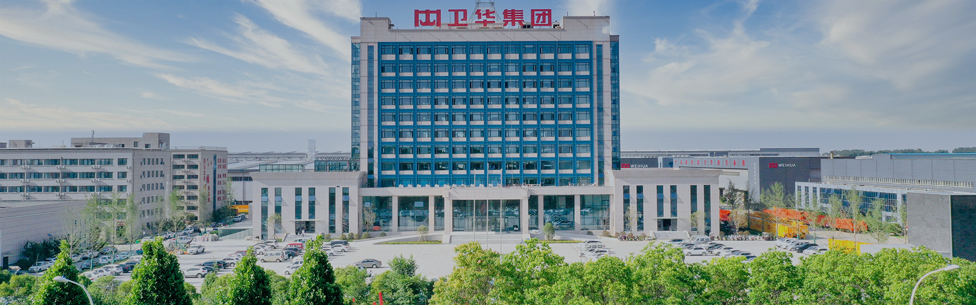Henan Mine Crane vs Henan Weihua: Which Crane Supplier Fits Your Project Better?