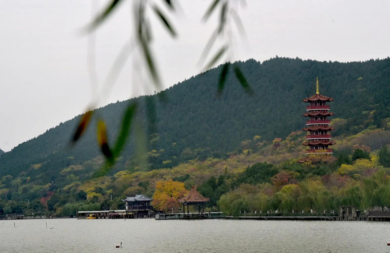 Henan Mine Crane 14th Filial Piety Culture Thanksgiving Tourism Festival Grand Opening