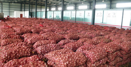 Automatic Stacking Crane for Cold Chain Logistics Warehouse