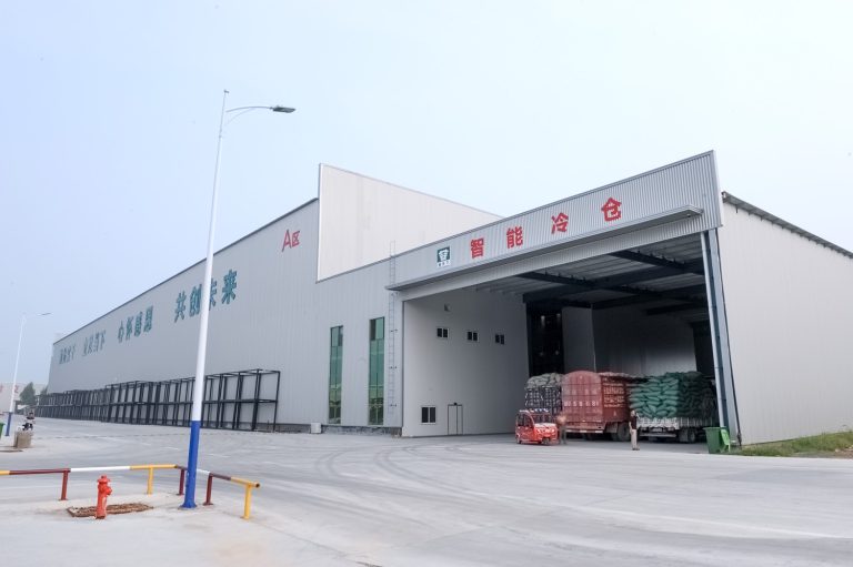 Smart Warehouse Crane Manufactured by Henan Mine Crane