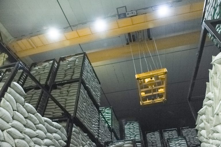Smart double gider warehouse Crane